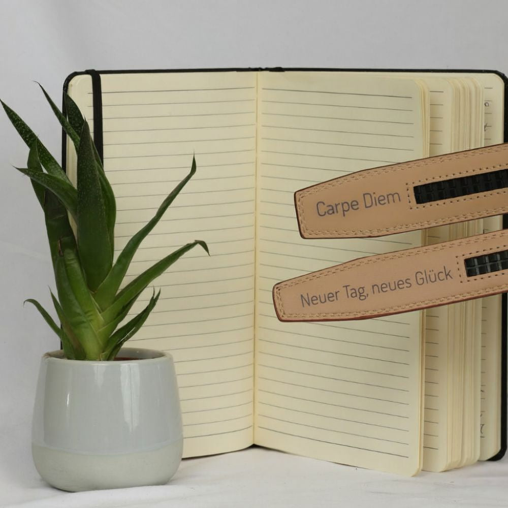 Braun x Belpasso Silver